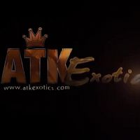 ATKExotics 21 11 19 Apryl Rein XXX 720p WEB x264 GalaXXXy