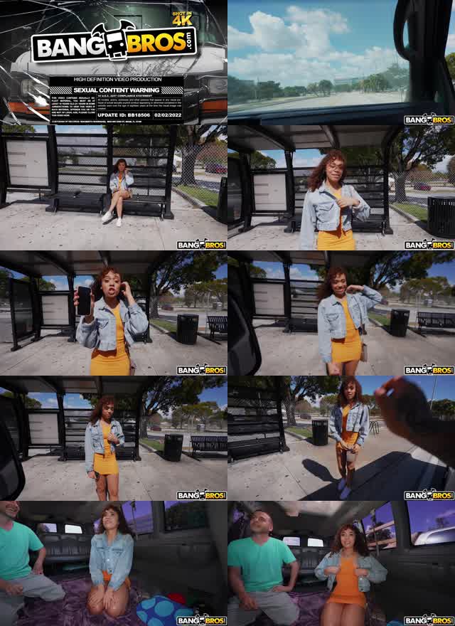 BangBus 22 02 23 Willow Ryder XXX 1080p HEVC x265 PRT XvX