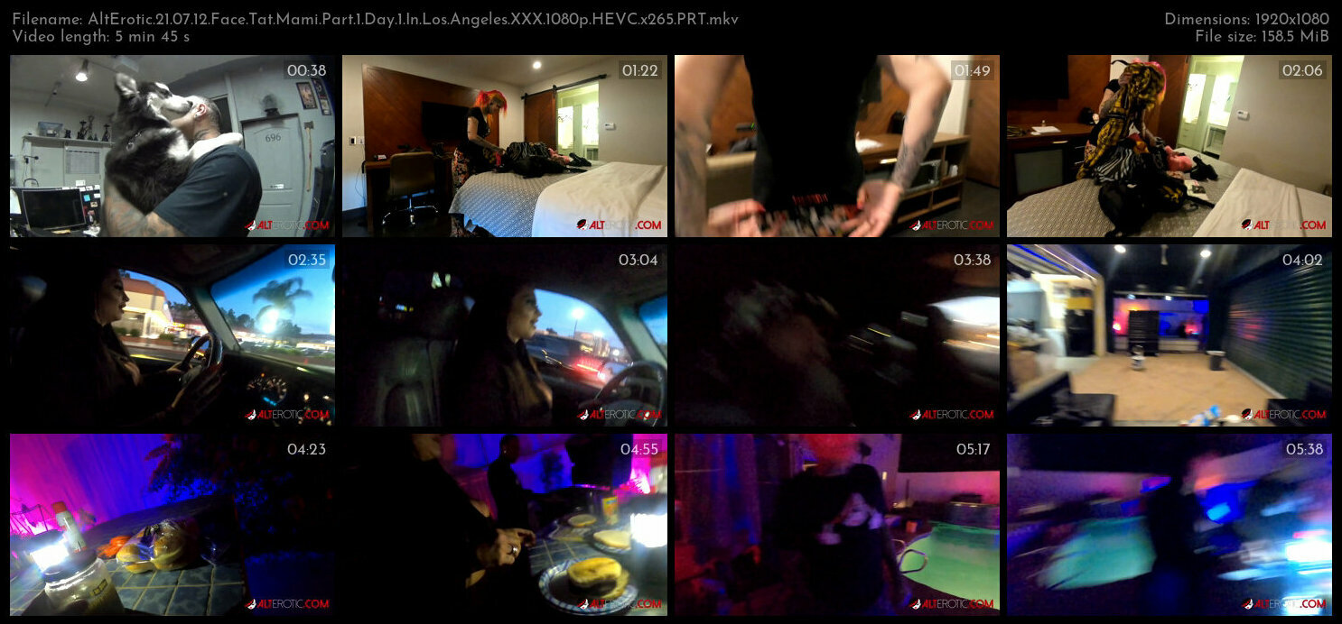 AltErotic 21 07 12 Face Tat Mami Part 1 Day 1 In Los Angeles XXX 1080p HEVC x265 PRT XvX